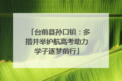 台前县孙口镇：多措并举护航高考助力学子逐梦前行
