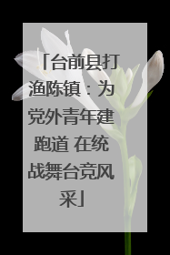 台前县打渔陈镇：为党外青年建跑道 在统战舞台竞风采