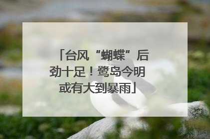 台风“蝴蝶”后劲十足！鹭岛今明或有大到暴雨