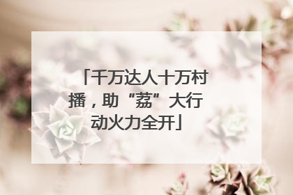 千万达人十万村播，助“荔”大行动火力全开