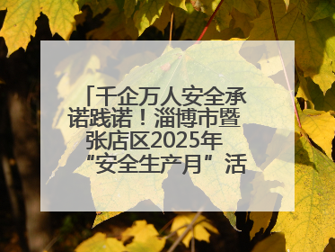 千企万人安全承诺践诺！淄博市暨张店区2025年“安全生产月”活动启动