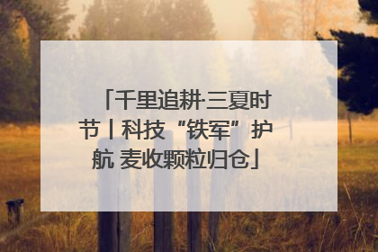 千里追耕·三夏时节丨科技“铁军”护航 麦收颗粒归仓