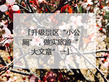 升级景区“小公厕”，做实旅游“大文章”→