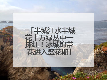 半城江水半城花丨万绿丛中一抹红！冰城锦带花进入盛花期