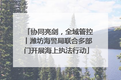 协同亮剑，全域管控丨潍坊海警局联合多部门开展海上执法行动