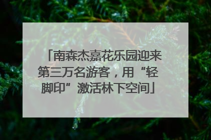 南森杰嘉花乐园迎来第三万名游客，用“轻脚印”激活林下空间
