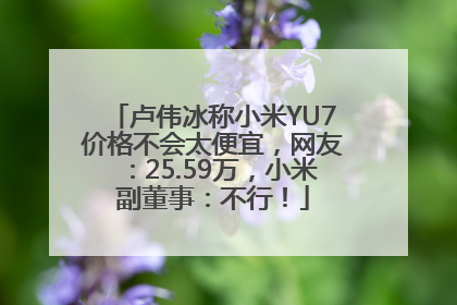 卢伟冰称小米YU7价格不会太便宜，网友：25.59万，小米副董事：不行！