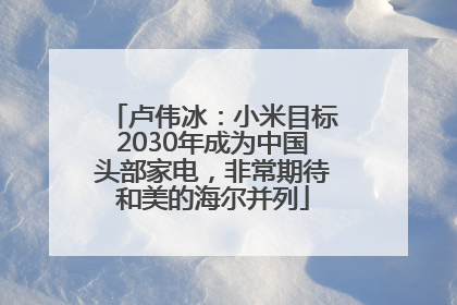 卢伟冰：小米目标2030年成为中国头部家电，非常期待和美的海尔并列