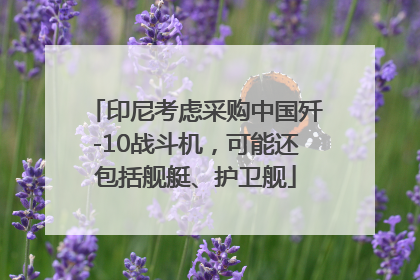 印尼考虑采购中国歼-10战斗机，可能还包括舰艇、护卫舰
