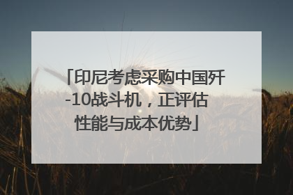 印尼考虑采购中国歼-10战斗机，正评估性能与成本优势