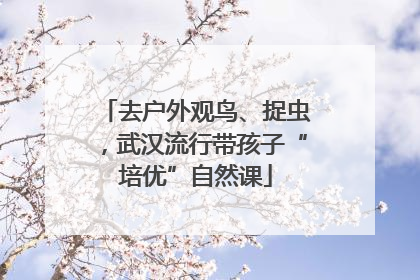去户外观鸟、捉虫，武汉流行带孩子“培优”自然课