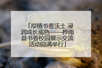 厚植书香沃土 浸润成长底色——桦南县书香校园展示交流活动圆满举行