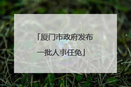 厦门市政府发布一批人事任免