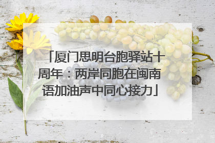 厦门思明台胞驿站十周年：两岸同胞在闽南语加油声中同心接力