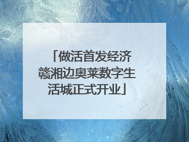 做活首发经济 赣湘边奥莱数字生活城正式开业