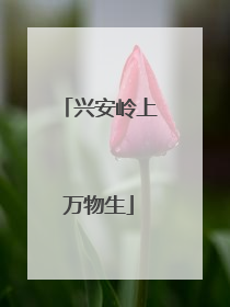 兴安岭上万物生