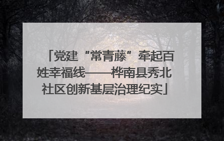 党建“常青藤”牵起百姓幸福线——桦南县秀北社区创新基层治理纪实