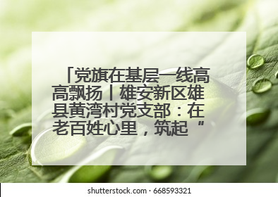 党旗在基层一线高高飘扬丨雄安新区雄县黄湾村党支部：在老百姓心里，筑起“一座山”