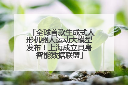 全球首款生成式人形机器人运动大模型发布！上海成立具身智能数据联盟
