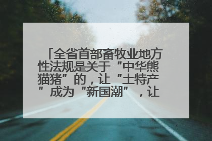 全省首部畜牧业地方性法规是关于“中华熊猫猪”的，让“土特产”成为“新国潮”，让“农产品”升格为“城市IP”