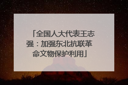 全国人大代表王志强：加强东北抗联革命文物保护利用