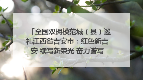 全国双拥模范城（县）巡礼江西省吉安市：红色新吉安 续写新荣光 奋力谱写新时代双拥工作新篇章