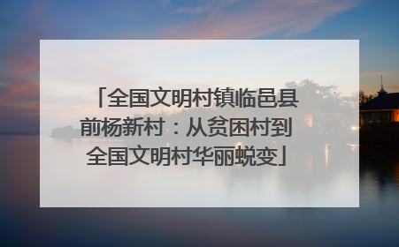 全国文明村镇临邑县前杨新村：从贫困村到全国文明村华丽蜕变