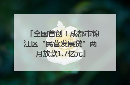 全国首创！成都市锦江区“民营发展贷”两月放款1.7亿元