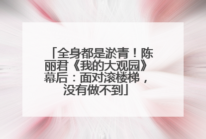全身都是淤青！陈丽君《我的大观园》幕后：面对滚楼梯，没有做不到