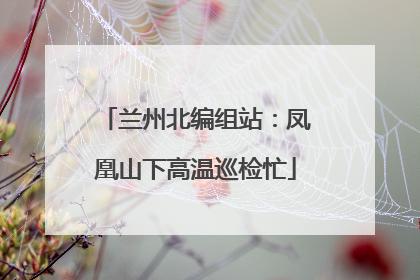 兰州北编组站：凤凰山下高温巡检忙