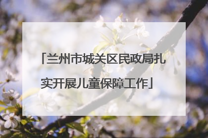 兰州市城关区民政局扎实开展儿童保障工作