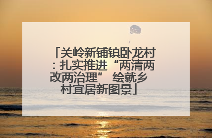 关岭新铺镇卧龙村：扎实推进“两清两改两治理” 绘就乡村宜居新图景