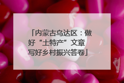 内蒙古乌达区：做好“土特产”文章 写好乡村振兴答卷