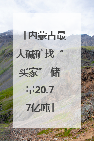 内蒙古最大碱矿找“买家” 储量20.77亿吨