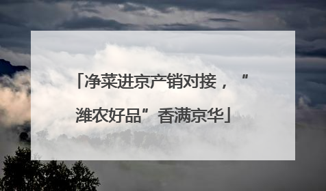 净菜进京产销对接，“潍农好品”香满京华