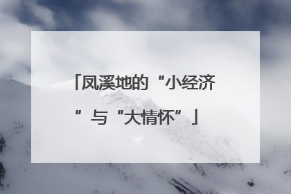凤溪地的“小经济”与“大情怀”