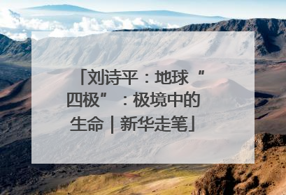刘诗平：地球“四极”：极境中的生命｜新华走笔