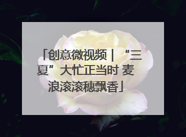 创意微视频｜“三夏”大忙正当时 麦浪滚滚穗飘香