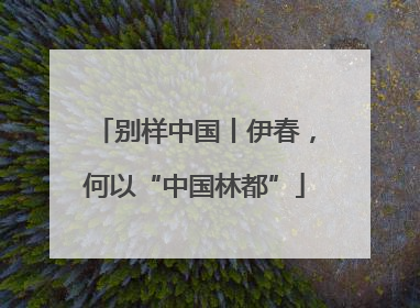 别样中国丨伊春，何以“中国林都”