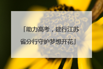 助力高考，建行江苏省分行守护梦想开花