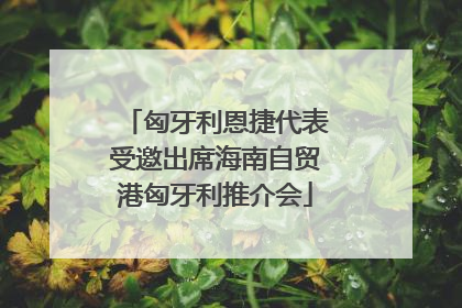 匈牙利恩捷代表受邀出席海南自贸港匈牙利推介会