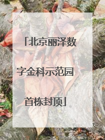北京丽泽数字金科示范园首栋封顶
