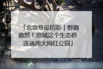 北京号最精彩｜野趣盎然！京城这个生态桥连通两大网红公园