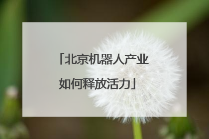 北京机器人产业如何释放活力