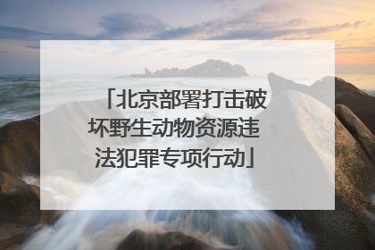 北京部署打击破坏野生动物资源违法犯罪专项行动