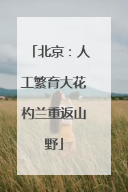 北京：人工繁育大花杓兰重返山野