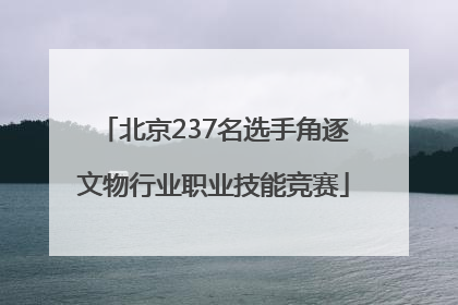 北京237名选手角逐文物行业职业技能竞赛