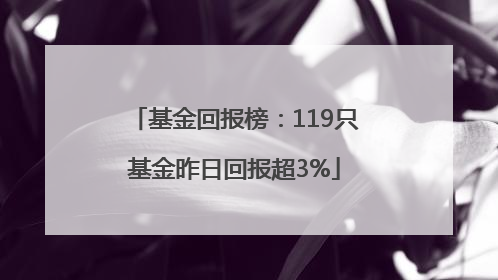 基金回报榜：119只基金昨日回报超3%