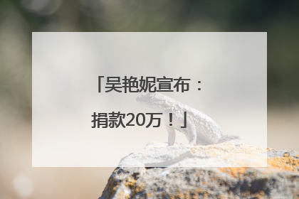 吴艳妮宣布：捐款20万！