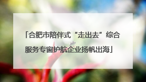 合肥市陪伴式“走出去”综合服务专窗护航企业扬帆出海